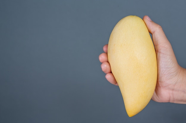 Free photo mango handle on gray background.