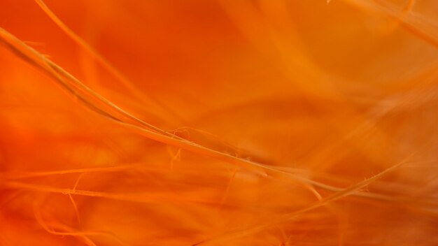 Many abstract orange fibers
