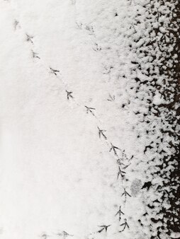 Множество глубоких следов птиц на белом снегу на весь кадр