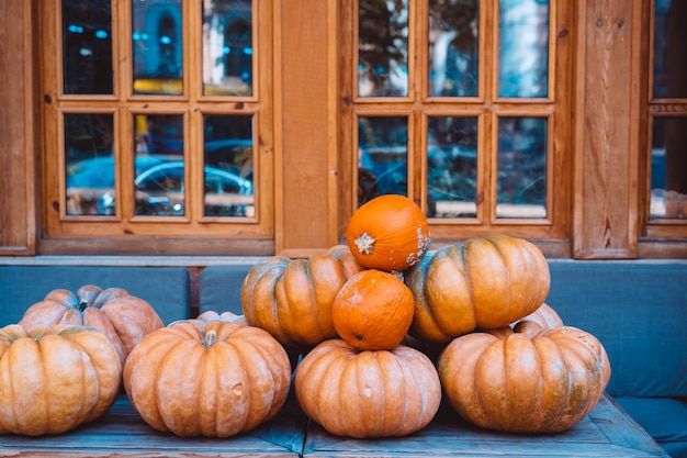 Many large orange pumpkins lie in the street 