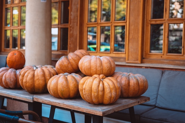 Many large orange pumpkins lie in the street