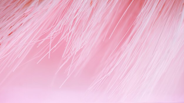 분홍색으로 된 많은 광섬유