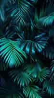 Free photo many palm leaves occupy all the space of the background an idea for wallpaper or phone screen