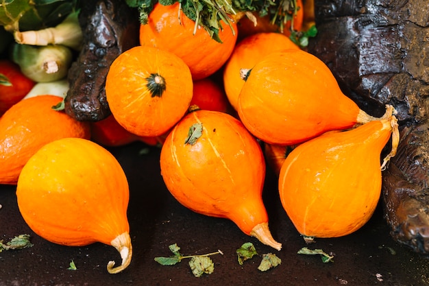 Free photo many ripe harvested kuri squash