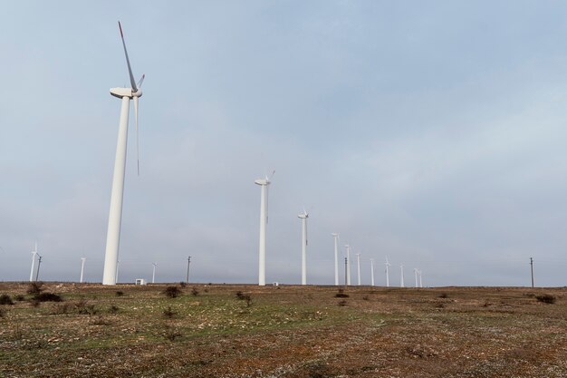 Many wind turbines in the field generating energy