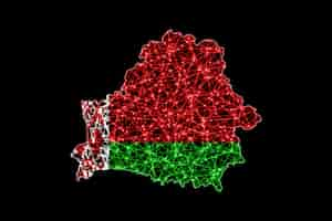 Free photo map of belarus, polygonal mesh line map, flag map