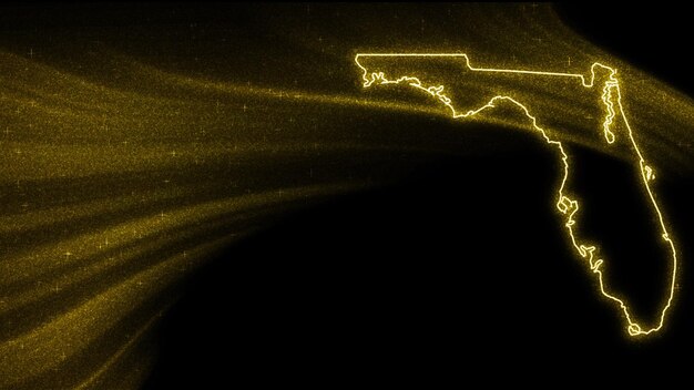 플로리다 지도, 어두운 배경에 골드 반짝이 지도