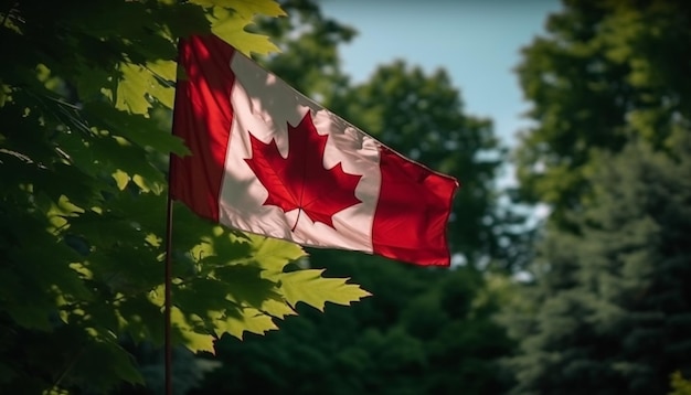 Foto gratuita foglia d'acero che ondeggia nel sole canadese ia generativa