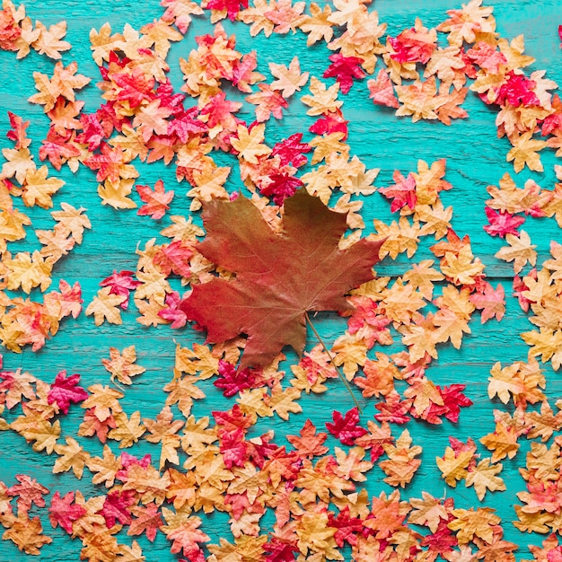 Композиция кленовых листьев на цветном деревянном фоне