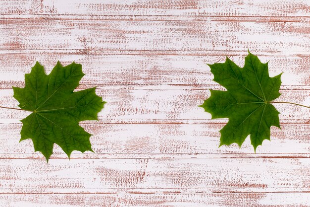 Maple leaves on wooden background copy space