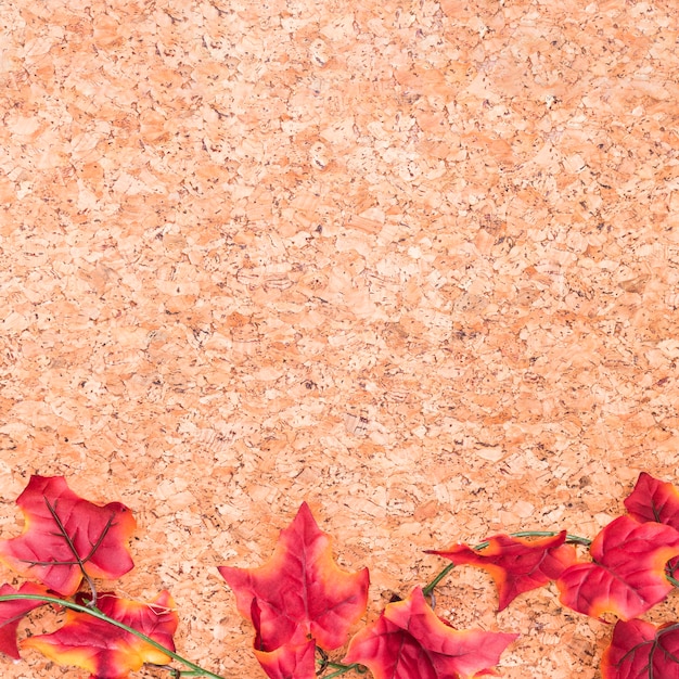 Free photo maple leaves on wooden desk