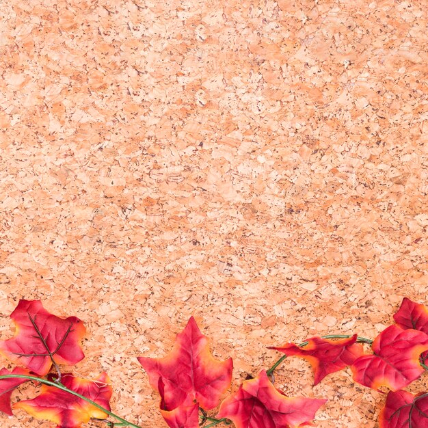 Maple leaves on wooden desk