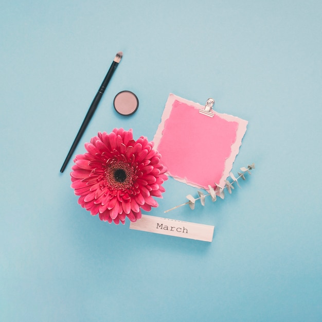 March inscription with blank paper and gerbera flower