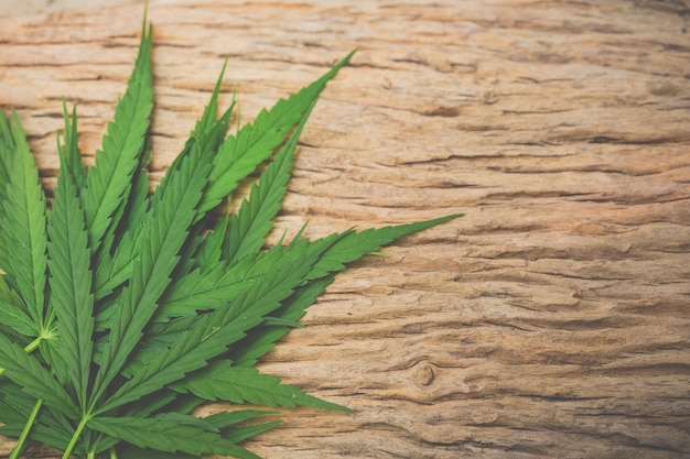 Marijuana leaves on wooden floors.