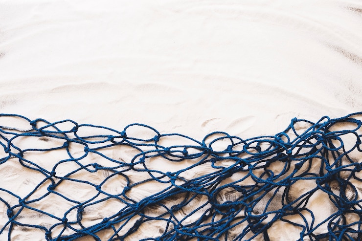 Free Photo marine composition with copyspace