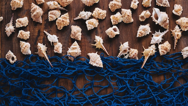 Free photo marine composition with fishing net and mussels