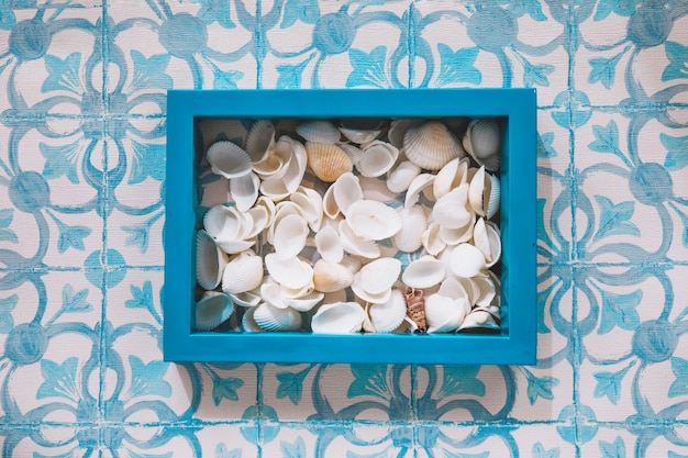 Foto gratuita composizione marina con conchiglie in cornice