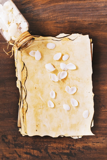 Marine composition with vintage paper and shells