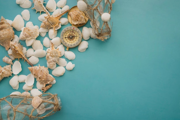 Marine elements and seashells
