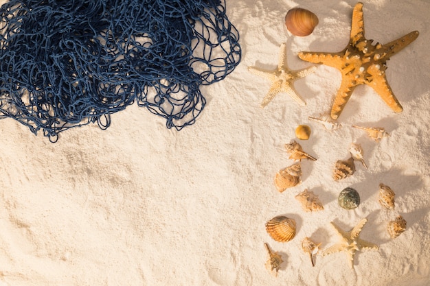 Marine shells and net on sand 