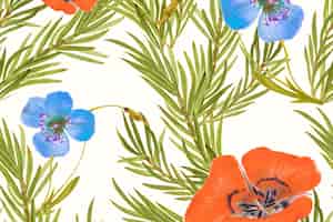 無料写真 マリポサユリの花柄の背景、パブリックドメインのアートワークからリミックス
