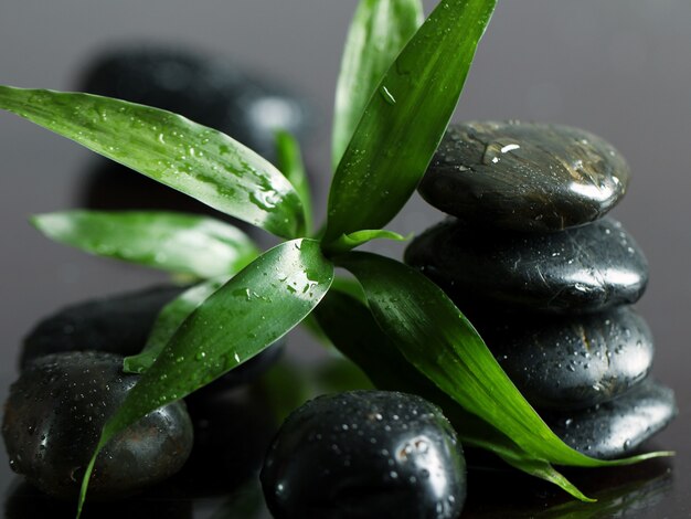 Massage stones and bamboo leaves