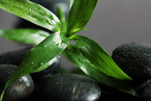 Free photo massage stones and bamboo leaves