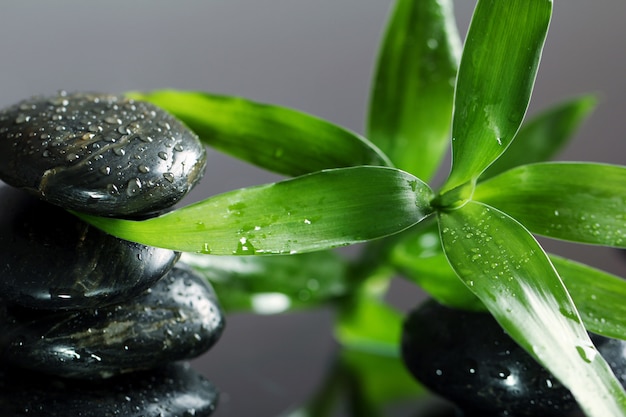 Free photo massage stones and bamboo leaves