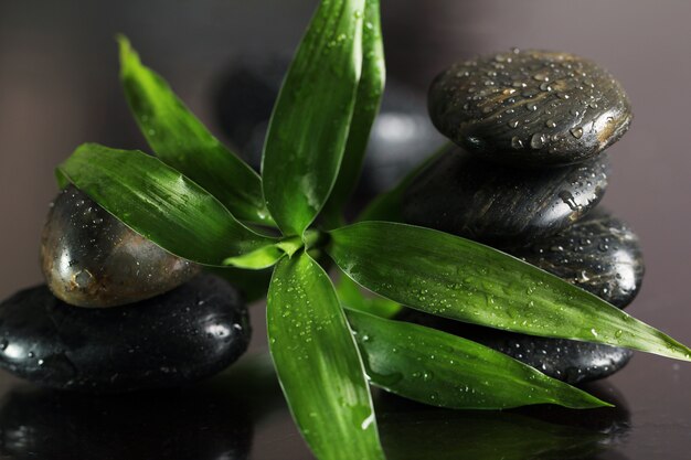 Massage stones and bamboo leaves