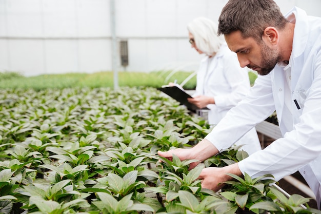 植物を扱う成熟したひげを生やした男