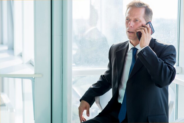 Mature businessman talking on smartphone