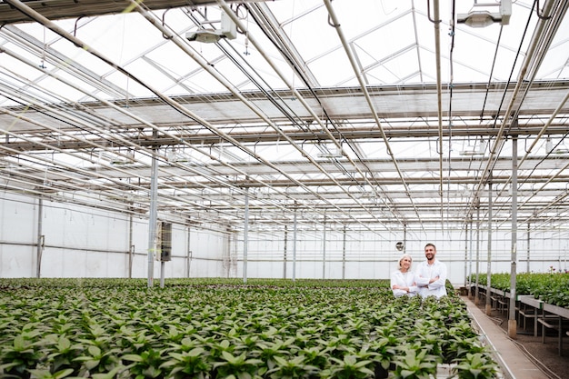 Mature happy gardeners in greenhouse