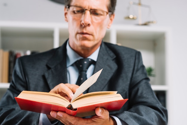 Mature male judge reading book in courtroom