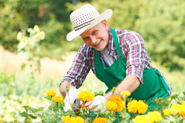 Зрелый мужчина срезает цветок в саду