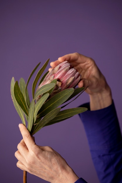 Бесплатное фото Зрелая женщина, держащая цветок