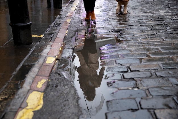 Зрелая женщина выгуливает собаку по улицам города, пока идет дождь