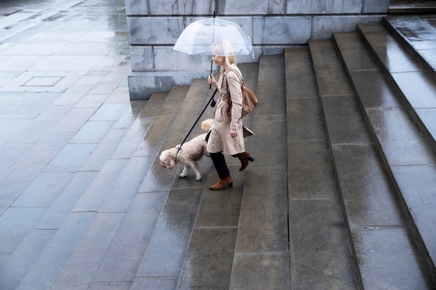 無料写真 雨が降っている間、街で彼女の犬を歩く成熟した女性