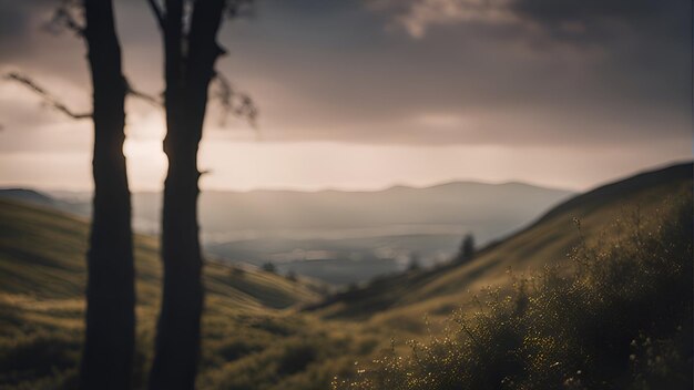 Meadow in the mountains at sunset Beautiful summer landscape