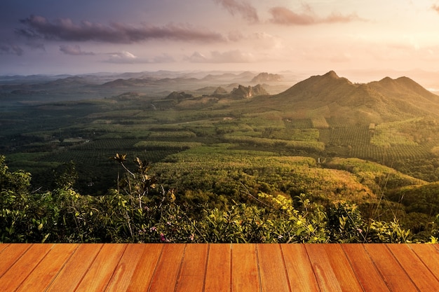 Meadow with a mountain seen from a wooden table