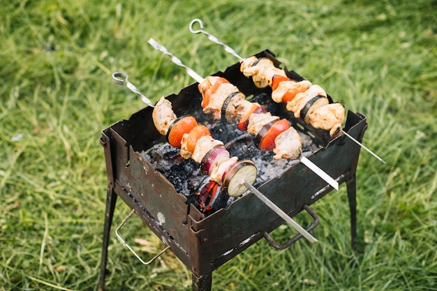 Meat on barbecue grill in nature