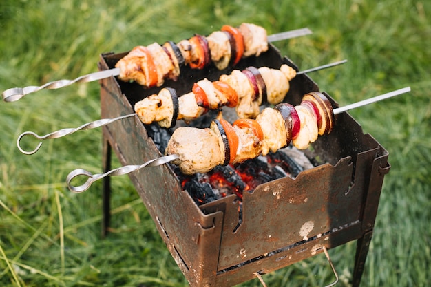 Meat on barbecue grill in nature