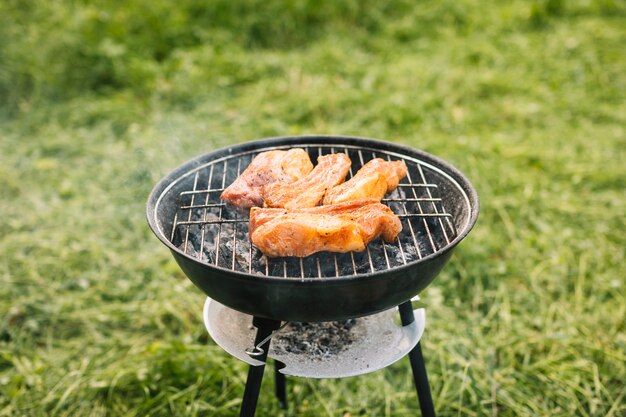 自然の中でグリルの肉