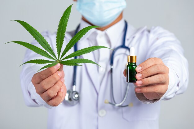 Medical doctor holding cannabis leaf and bottle of cannabis oil on white wall.