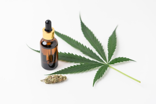 Medical marijuana and marijuana oil Cannabis