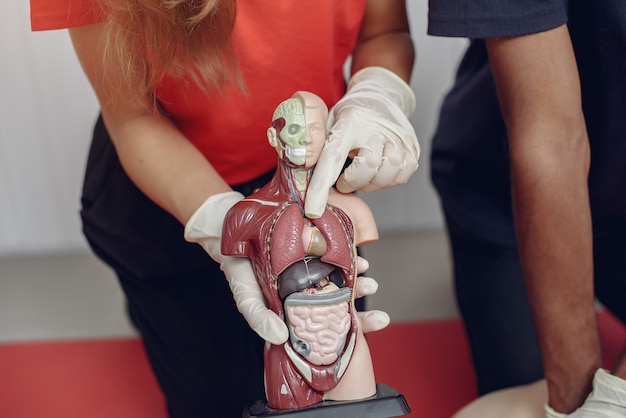 Foto gratuita gli studenti di medicina praticano