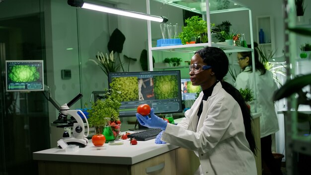 有機食品を調べる薬理学研究室で働く医療チームの研究者