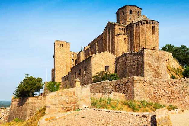 カルドナの中世の城。カタロニア