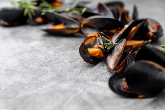 Mediterranean mussels with copy space