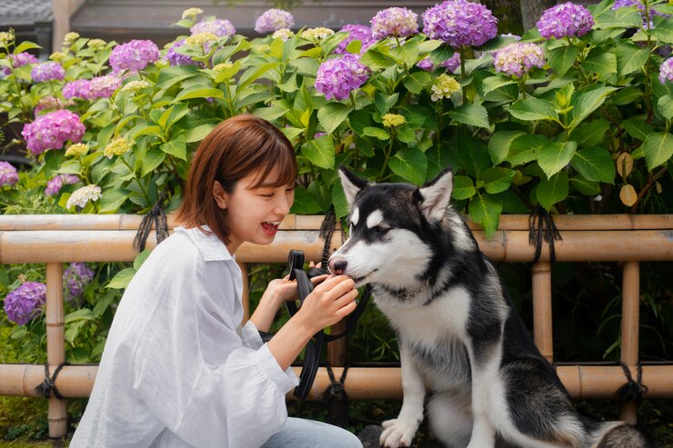 무료 Photo 귀여운 강아지와 함께 중간 샷 아시아 여자