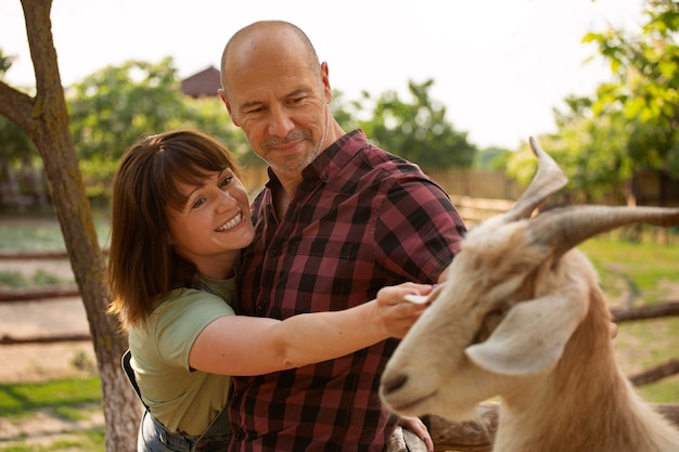 Free photo medium shot couple living at farmhouse